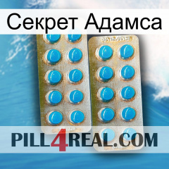 Секрет Адамса new08